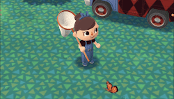 捕まえたい虫に近づいている画像