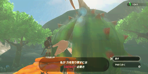 BotW_100ルピー払う