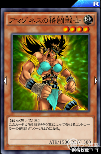 アマゾネスの格闘戦士