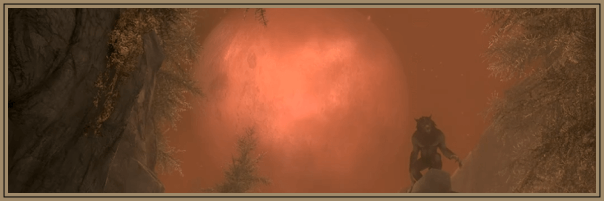 月明かりに照らされて