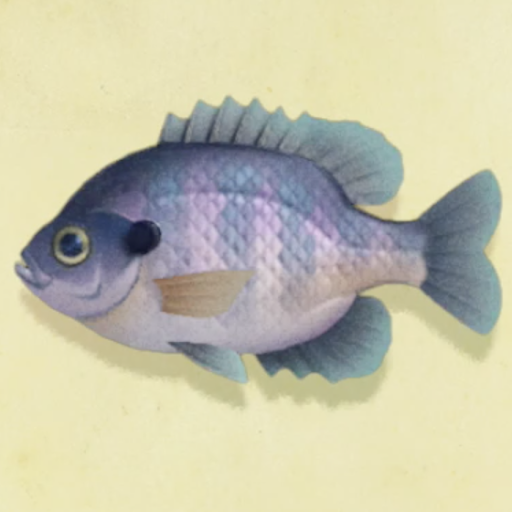 ブルーギルの値段と捕まえるコツ