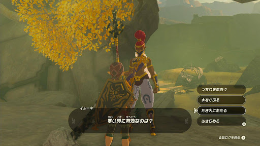 ゲルドキャニオンの遭難者_設問