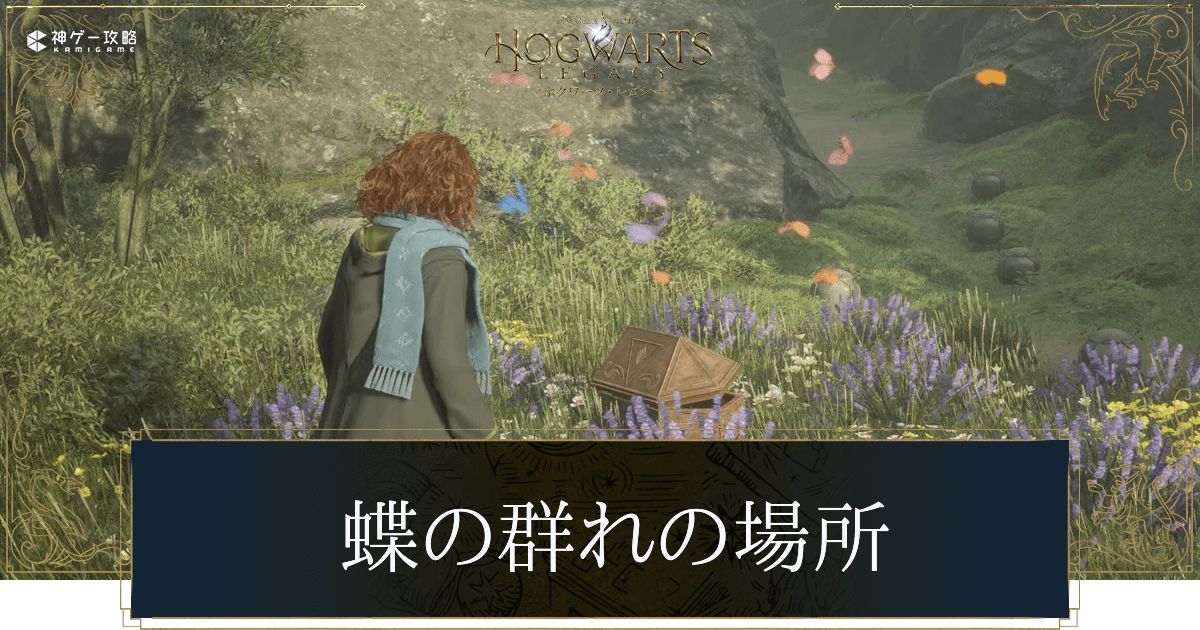 蝶の群れの場所
