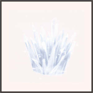 氷晶の王冠
