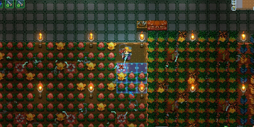 花びらのリング_収穫