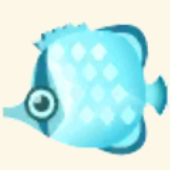 アイスなチョウチョウウオ