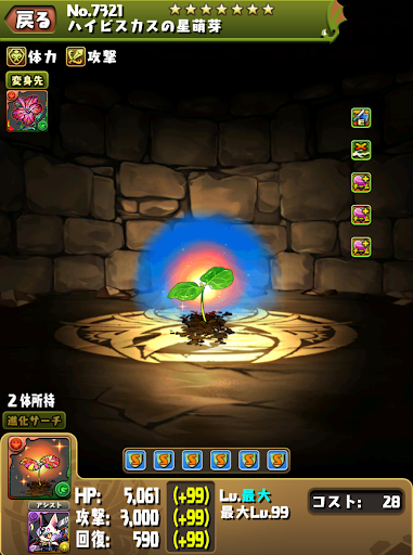 裏魔廊の支配者-ハイビスカスパーティ