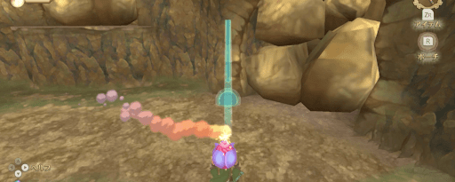 ゼルダSWS_バクダン花を使って岩を壊そう