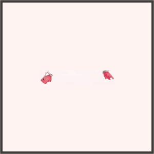 未来の手袋（ローズ）