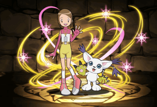 八神ヒカリ＆テイルモン（02）