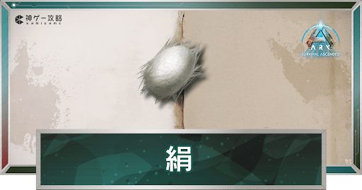 絹_アイキャッチ