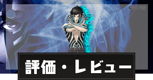 評価レビュー