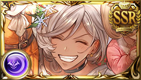 フィオリト（クリスマス）