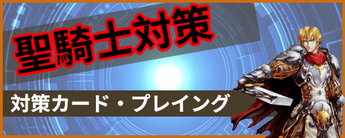 聖騎士対策