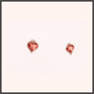 ときめく贈り物