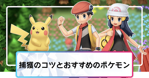 捕獲のコツ_バナー