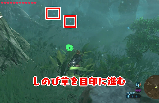 ゼルダBotW_トッチーより先回りして進む03