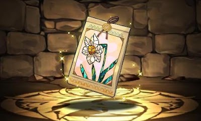 スイセンの球根