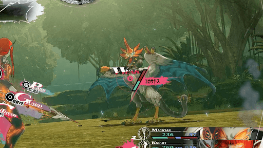 コカサドスの攻略