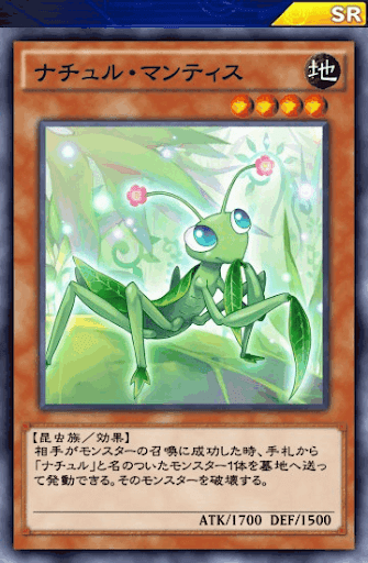 ナチュル・マンティス