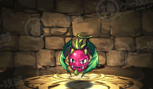 ドラゴンフルーツ