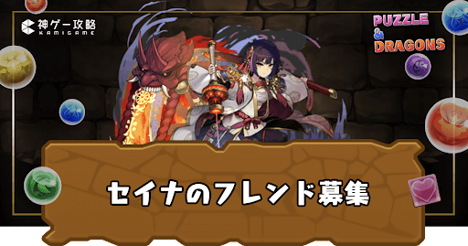 セイナフレンド募集