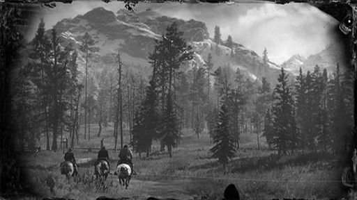 アメリカの猛毒