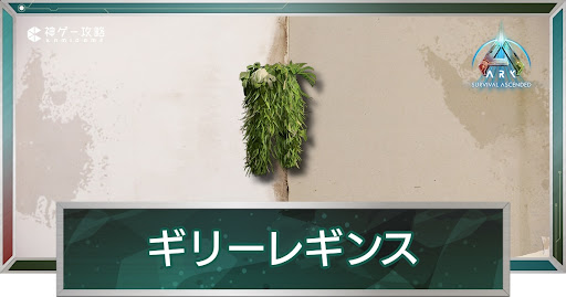 ギリーレギンス