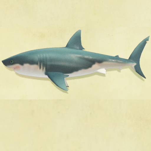 サメの値段と捕まえるコツ