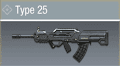Type25