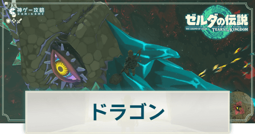 ドラゴンの移動ルート