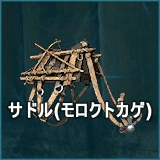 サドル（モロクトカゲ）
