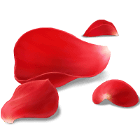 fgo-真紅の花びら