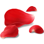 fgo-真紅の花びら