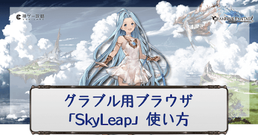 SkyLeapバナー