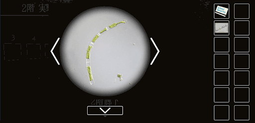 思い出の母校からの脱出_粘着テープの入手