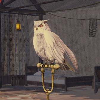 ふくろうの止まり木