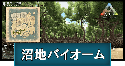 沼地バイオーム