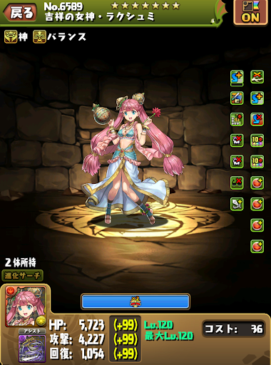 ハイビスカス機構城-ラクシュミ