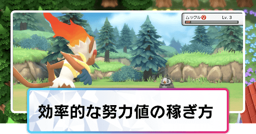 効率的な努力値の稼ぎ方