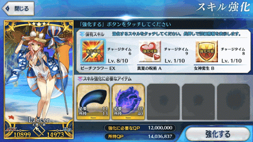fgo-QPの使い道_スキルレベル上げ