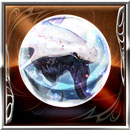 フロネシスのアニマ