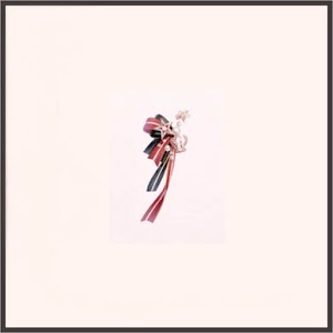 星紗のダンス（赤）