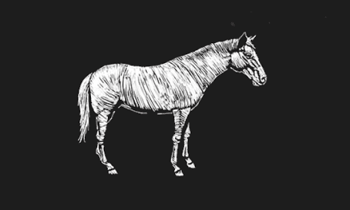 テネシーウォーカー