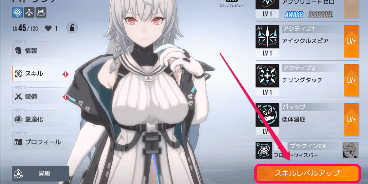 スキルレベルアップ