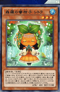 森羅の蜜柑子シトラ