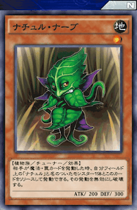 ナチュル・ナーブ