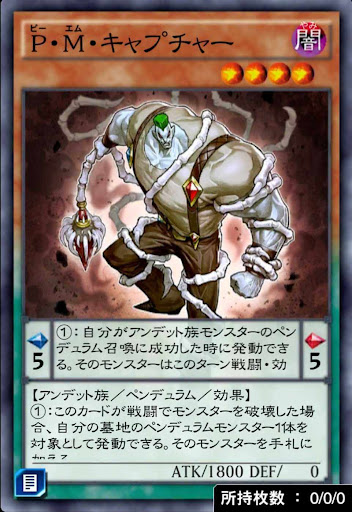 P・M・キャプチャー