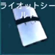 ライオットシールド