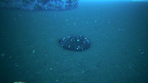 ラグナロク_黒真珠